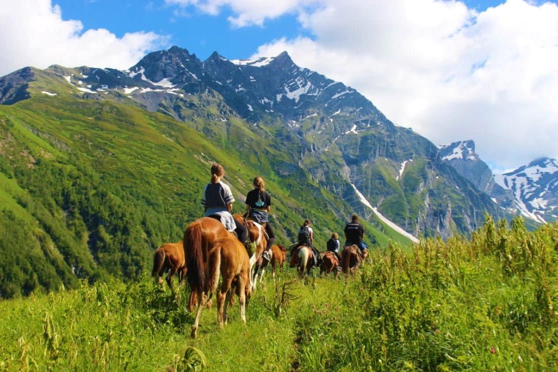 A trip for lovers of horses, mountains and nature!