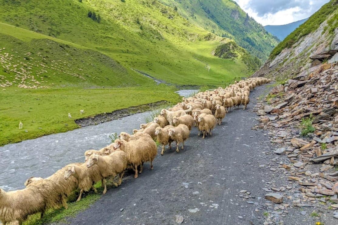 Extreme 5-day group tour with SUV! - Image 9