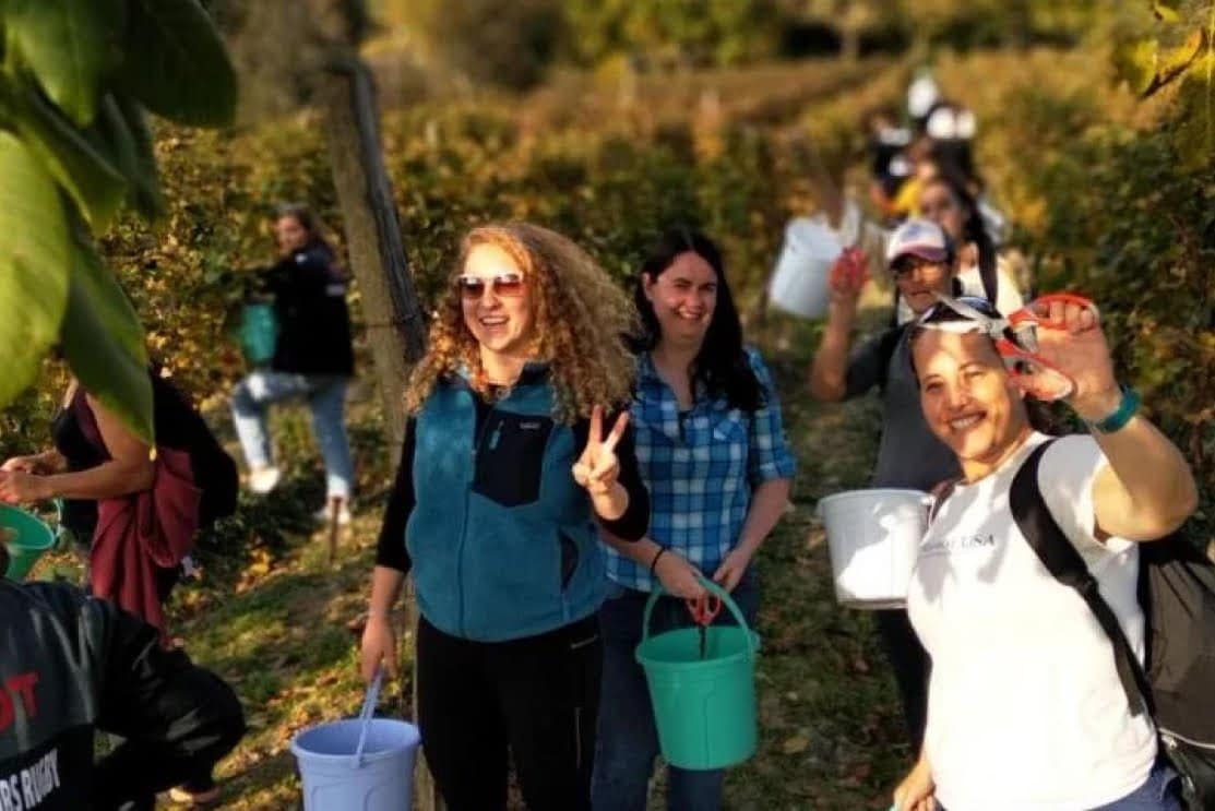 12-day sightseeing tour with the grape harvest festival "Rtveli" - Image 2