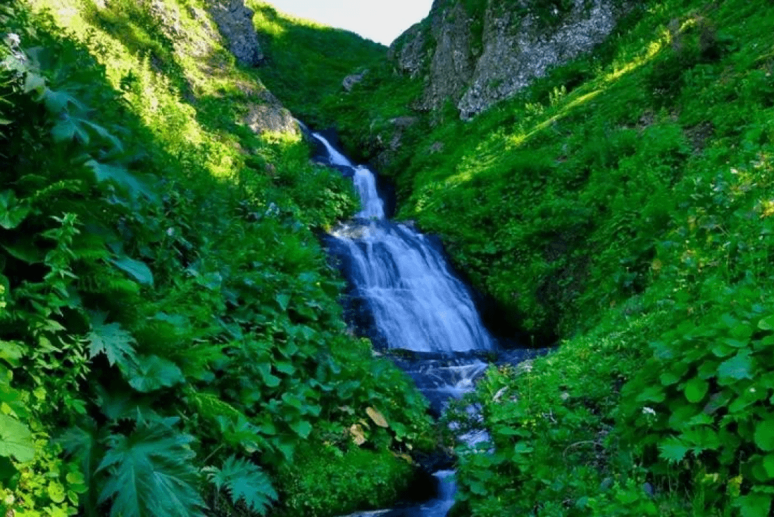 Bachmaro is a paradise in the western region of Georgia in Guria - Image 5