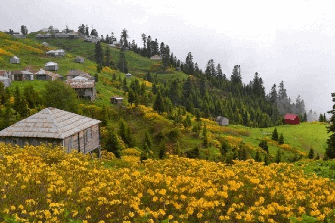 Bachmaro is a paradise in the western region of Georgia in Guria - Image 3