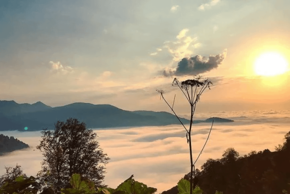 Go to GomisMTA mountain in Guria region - Image 7