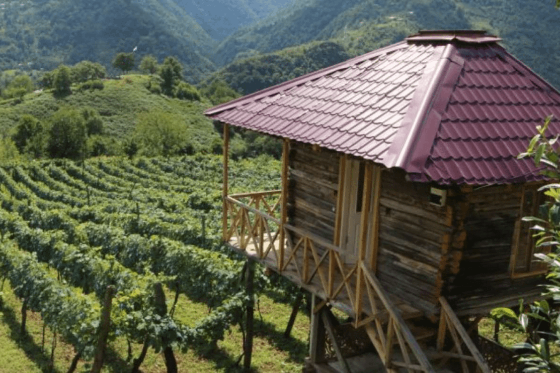 An interesting excursion is the Makhuntseti waterfall and the Gonio fortress - Image 6