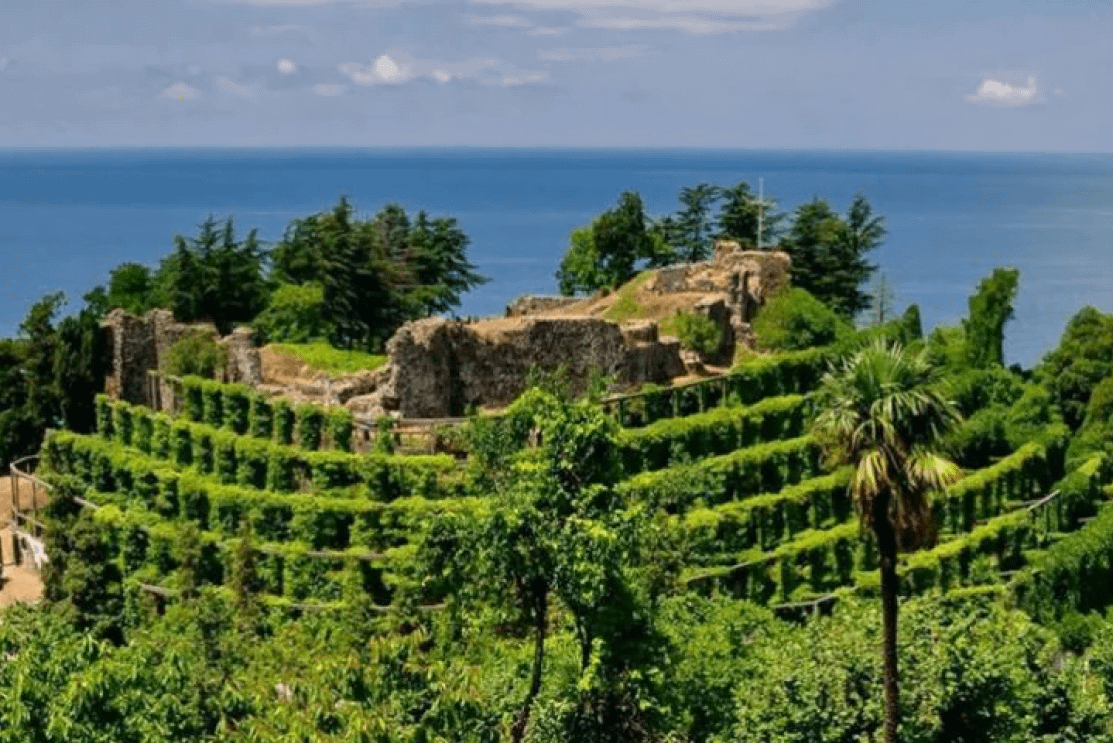 Subtropical tour in Batumi - Image 2