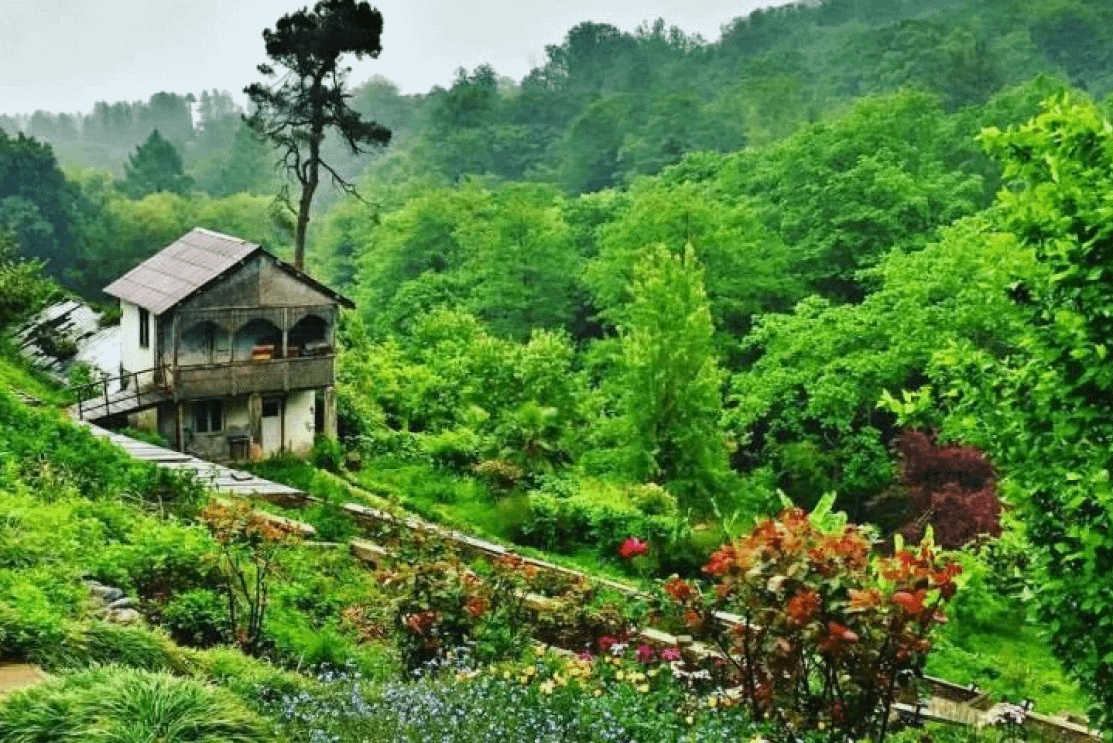 Subtropical tour in Batumi - Image 5