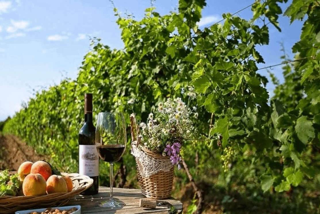 Kakheti - the city of love, Signachi, and the cradle of Georgian winemaking