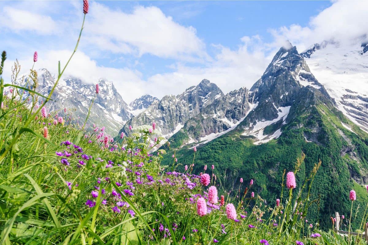 A trip to the Caucasus - traditions and peculiarities of Azerbaijan and Georgia - Image 7