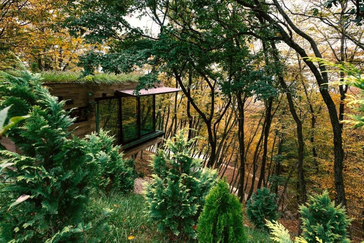 A trip to the Caucasus - traditions and peculiarities of Azerbaijan and Georgia - Image 10