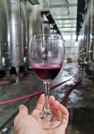 12-day sightseeing tour with the grape harvest festival "Rtveli" - Image 9