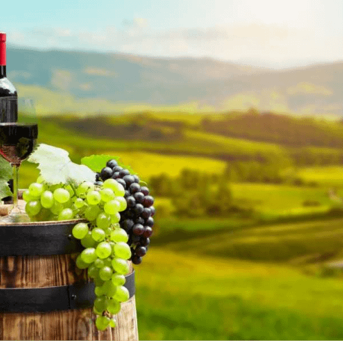 12-day sightseeing tour with the grape harvest festival "Rtveli"