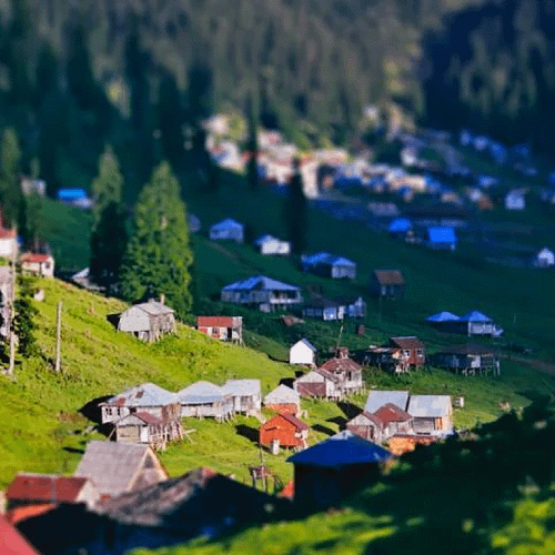 Go to GomisMTA mountain in Guria region