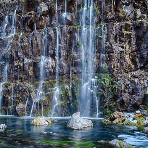 Subtropical tour in Batumi