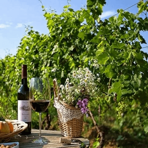 Kakheti - the city of love, Signachi, and the cradle of Georgian winemaking