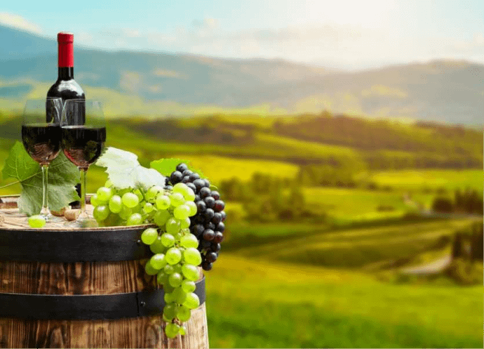 12-day sightseeing tour with the grape harvest festival "Rtveli"