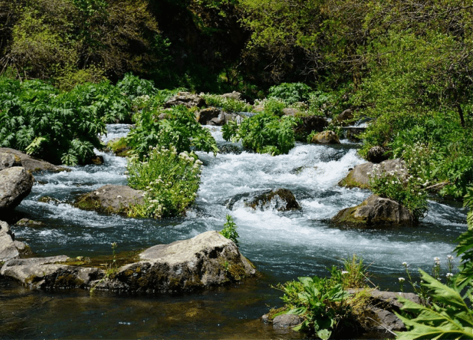 A trip for lovers of horses, mountains and nature! - Image 8