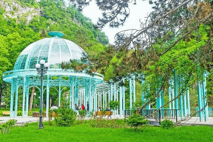 Spa relaxation in the Borjomi sanatorium with an educational program