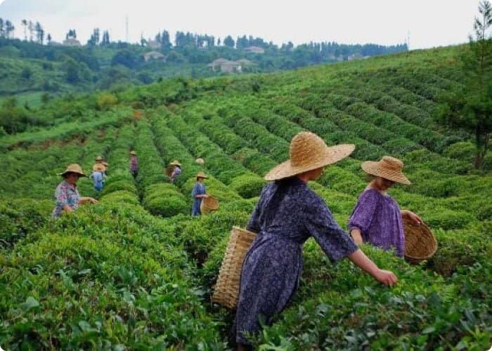 Extreme 5-day group tour with SUV! - Image 8