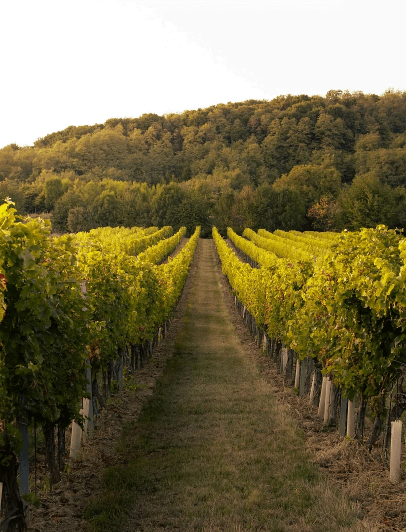 Excursion to Dashbashi Canyon and Diamond Bridge - Image 7