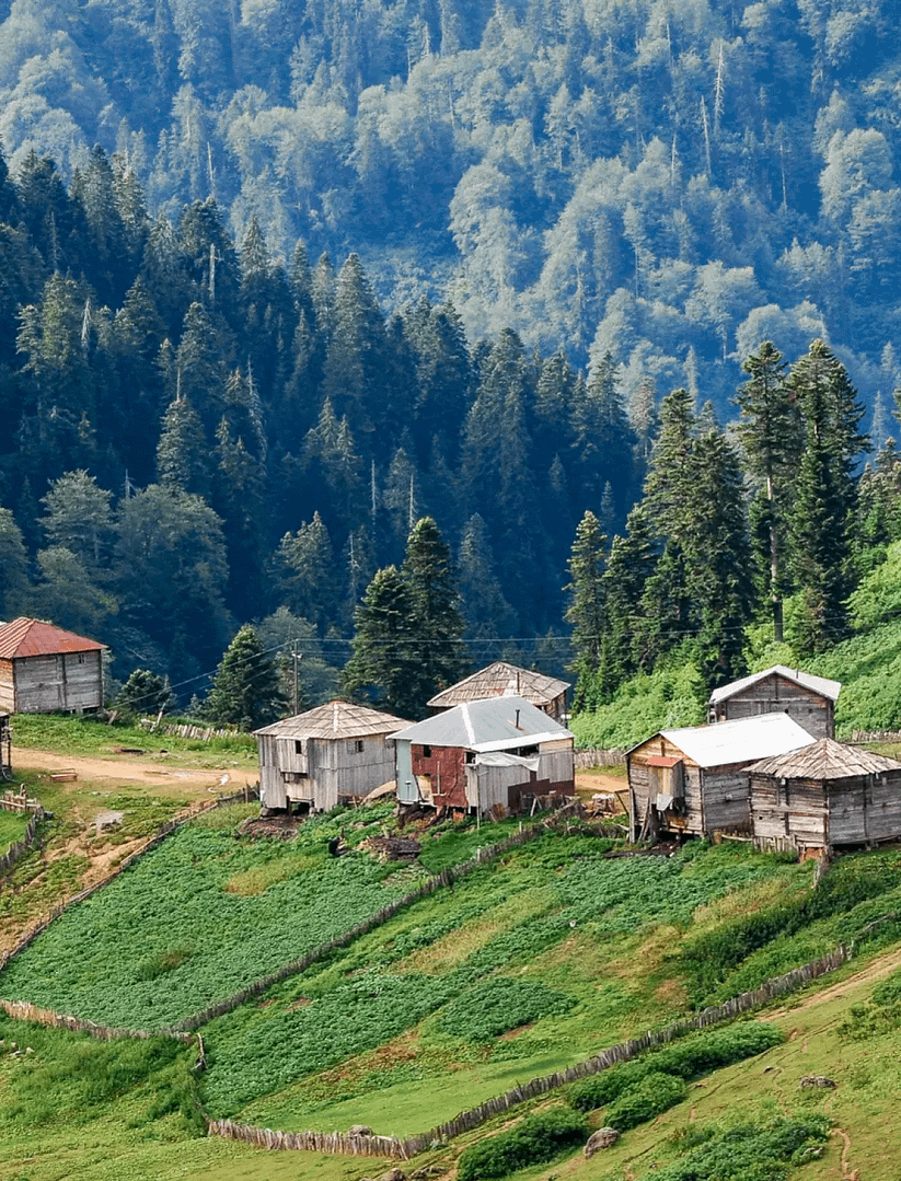 Go to GomisMTA mountain in Guria region - Image 5