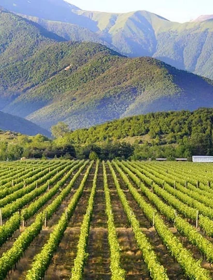 The wonderful Georgia is a rich 5-day sightseeing tour - Image 6