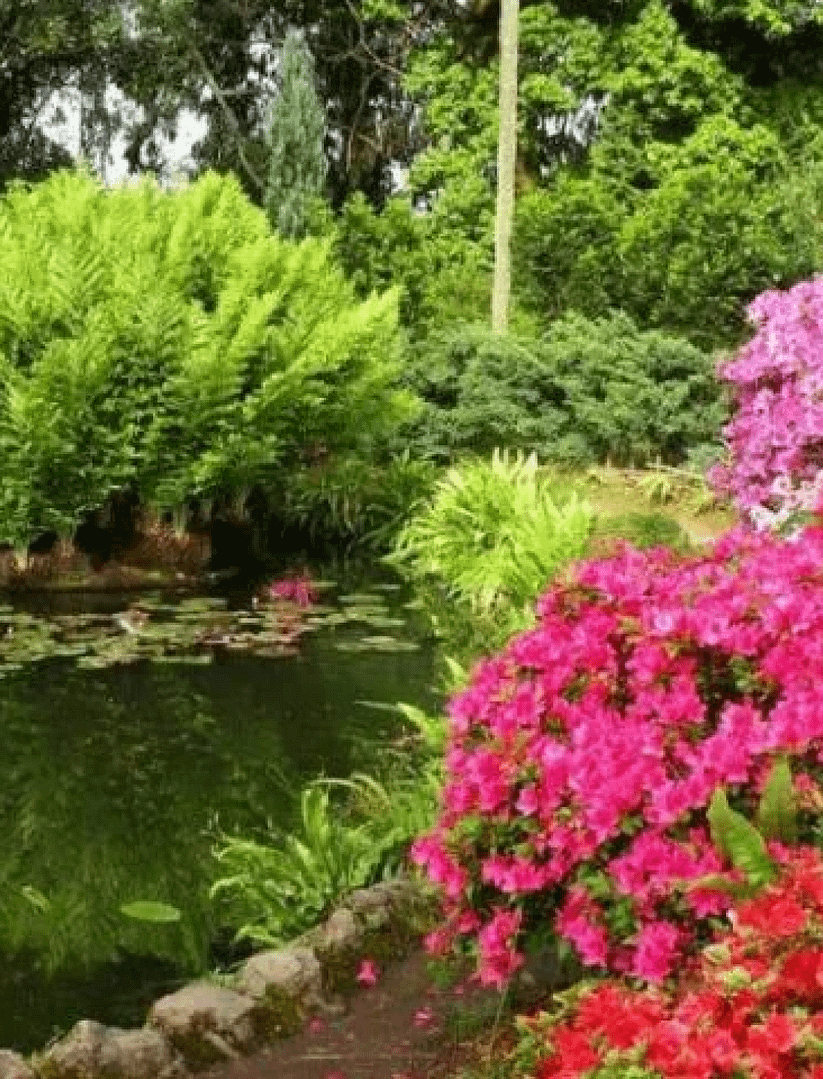 Subtropical tour in Batumi - Image 7