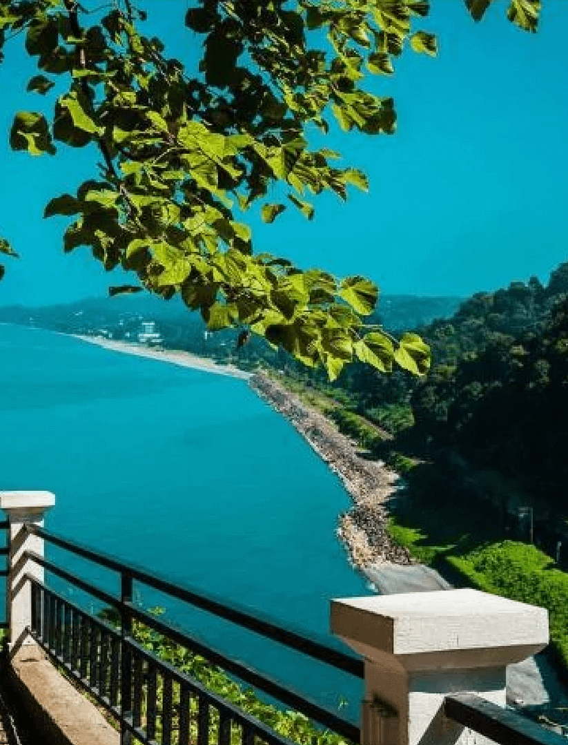 Subtropical tour in Batumi - Image 3