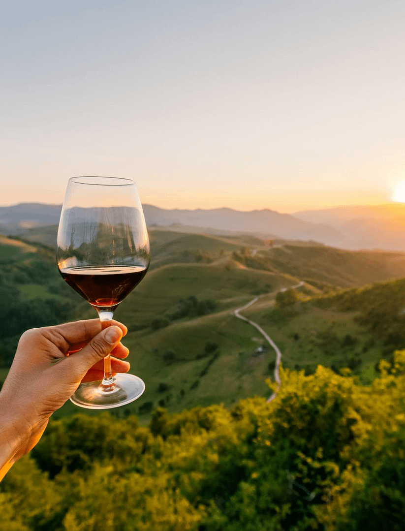 Kakheti - the city of love, Signachi, and the cradle of Georgian winemaking - Image 2