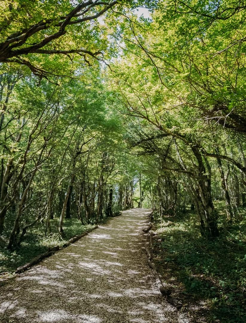 "Kvariati Resort" Black Sea resort in Adjara - Image 3